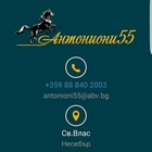 Антониони 55 - View more
