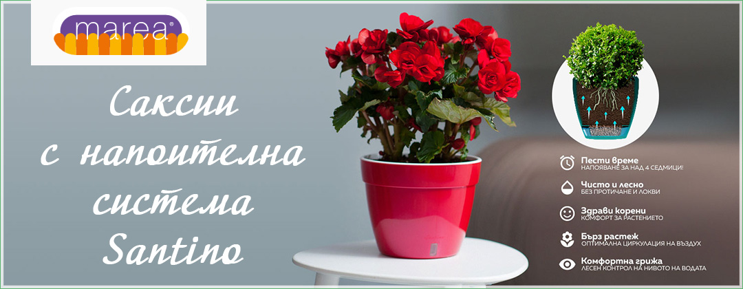 Мареа - Хоби и градина