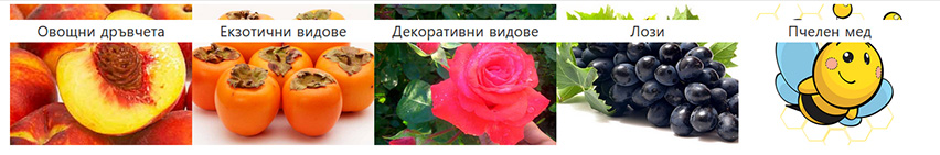 Овощен и декоративен разсадник Фантазия