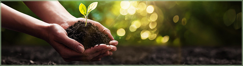 АГРОГРАДИНАБГ - WWW.AGROGRADINA.BG