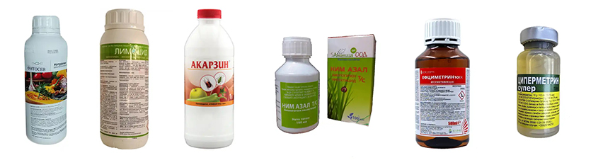 АГРОГРАДИНАБГ - WWW.AGROGRADINA.BG