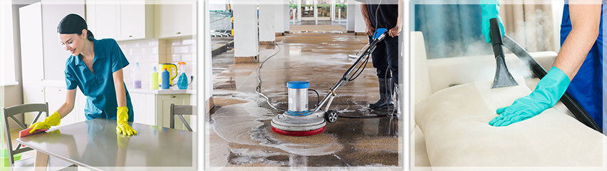 Чистолино ЕООД