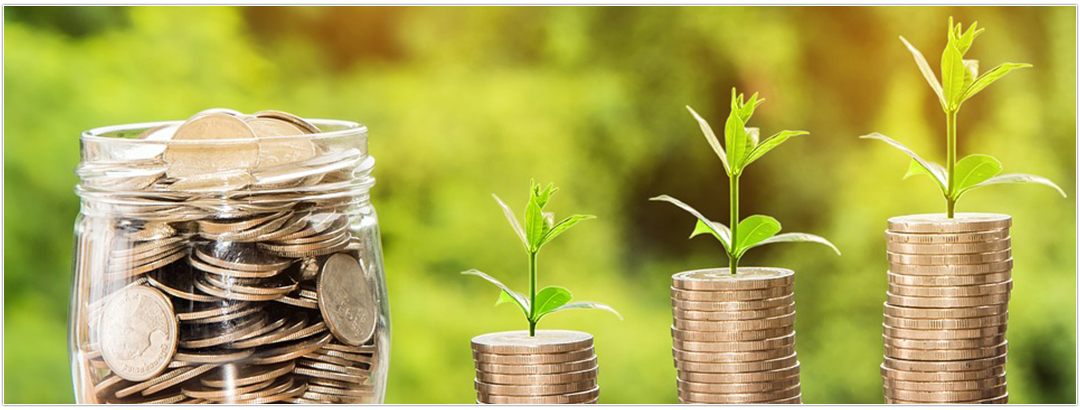 Експрес консулт МТ ООД  Счетоводни услуги  