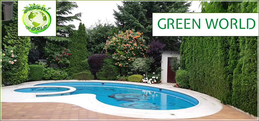 Green World Green World