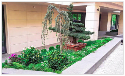 Green World