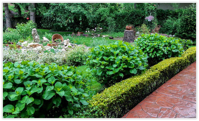 Green World
