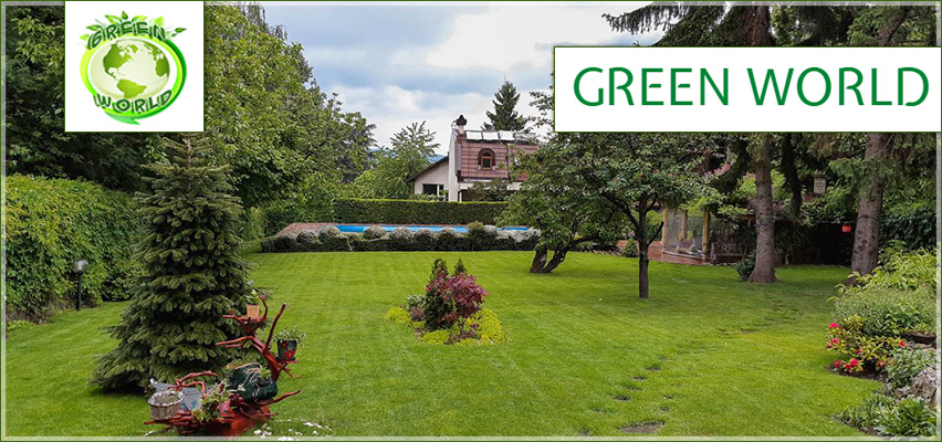 Green World Green World