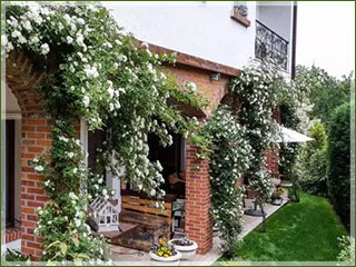 Green World