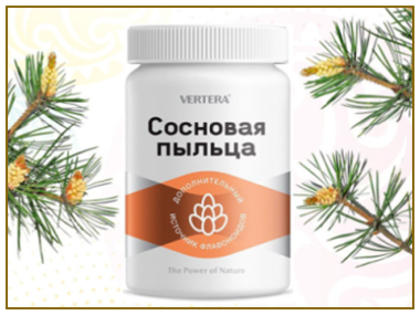 Боров прашец и бамбук Вертера