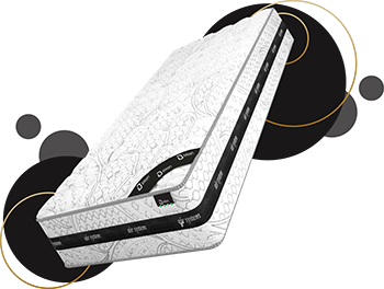 ИЛВИДИХА ЕООД ИЛВИДИХА ЕООД