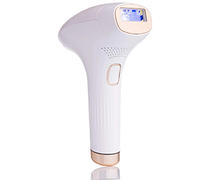 Кутисора ООД Кутисора ООД