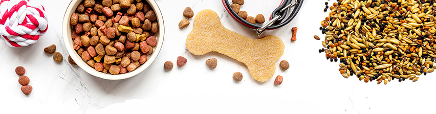 Онлайн зоомагазин Данени