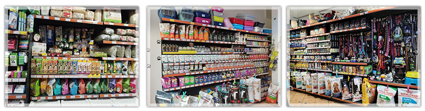 Онлайн зоомагазин Данени