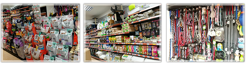 Онлайн зоомагазин Данени