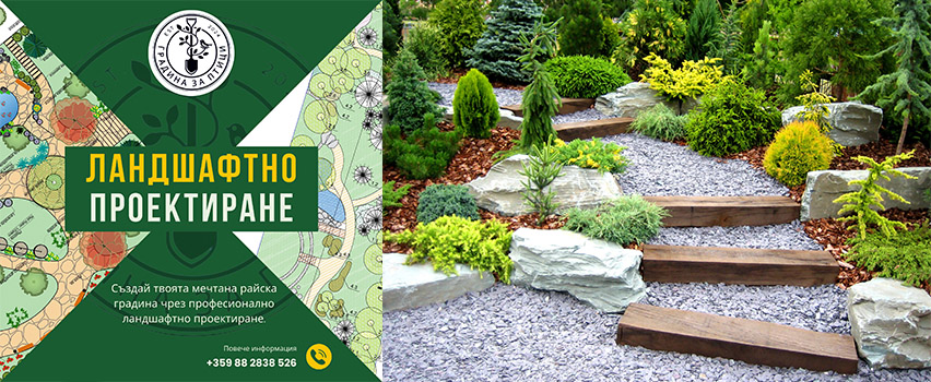 Градина за птици