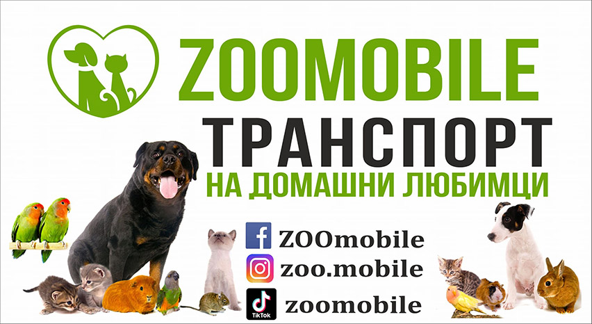 Zoomobile