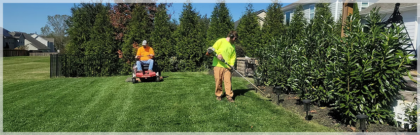 Ей Ви Инсайт ЕООД