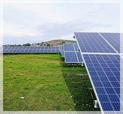 Ей Ви Инсайт ЕООД