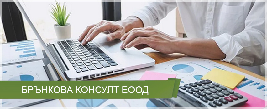 БРЪНКОВА КОНСУЛТ ЕООД