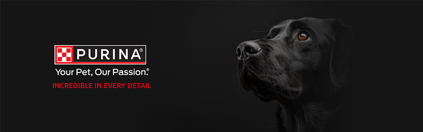 PetsHelp
