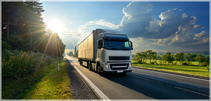 БОЖАНОВИ ТРАНСПОРТ ЕООД