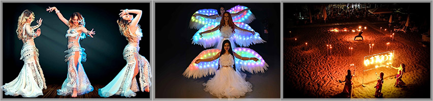 Dalida Dance Show