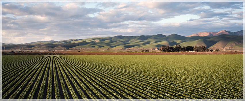 Агрихим ЕООД