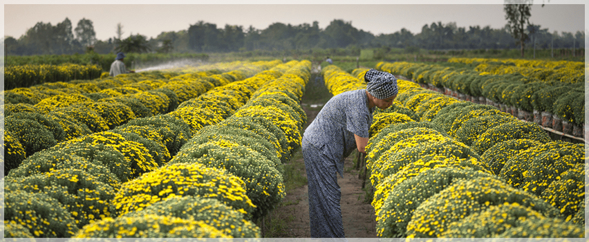Агрихим ЕООД