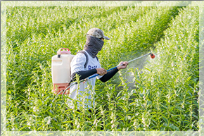 Агрихим ЕООД