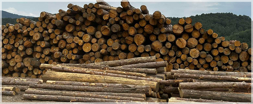 Йома Туз ЕООД