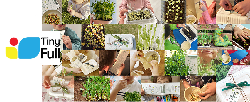 Тайни Фул ЕООД