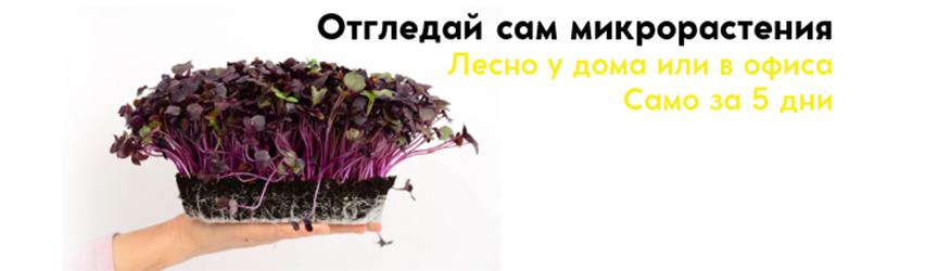 Тайни Фул ЕООД