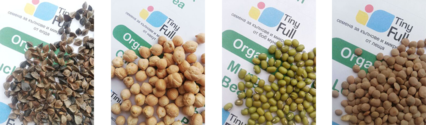 Тайни Фул ЕООД