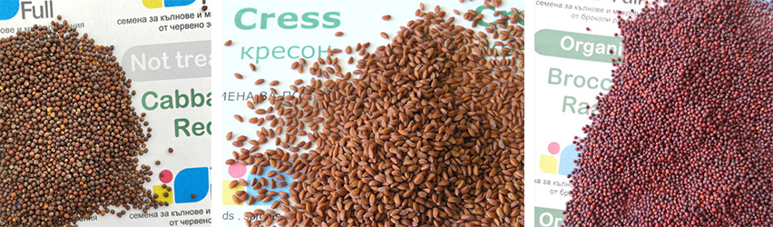 Тайни Фул ЕООД