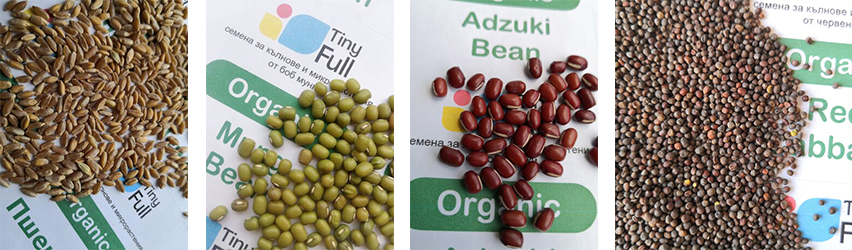 Тайни Фул ЕООД