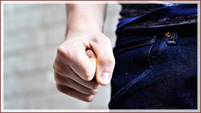 Кантора адвокат Райков