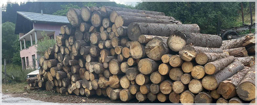 ВЕЛЧЕВ ЛЕС ЕООД