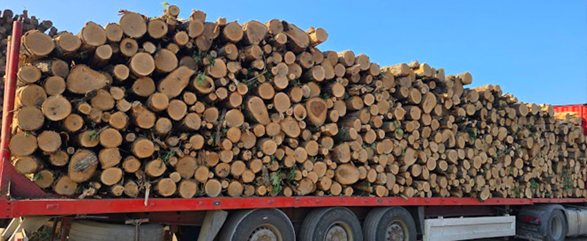 АВТО ТРЕЙД 08 ЕООД