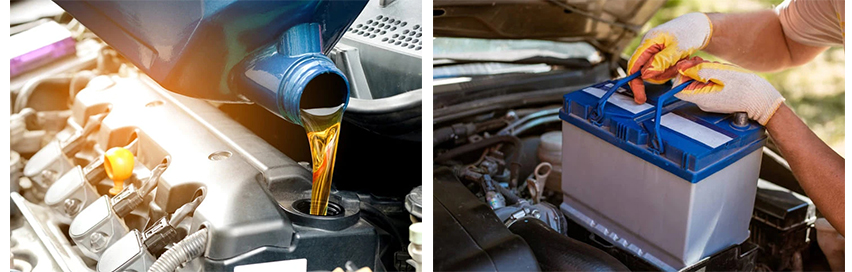 Алфа Ауто Българиа ЕООД