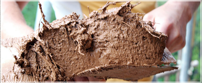 Барбали ЕООД