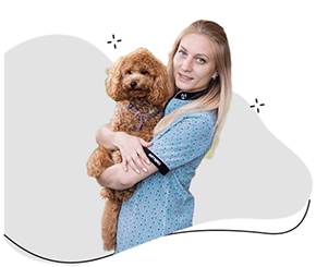 Зоомагазин и Груминг салон Ичиро и приятели