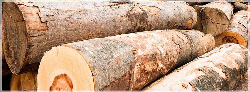 Стил - МС ООД Стил - МС ООД