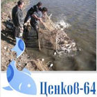 Cenkov 64 Petio Cenkov