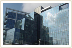 ТРИУМФ КОНСУЛТ