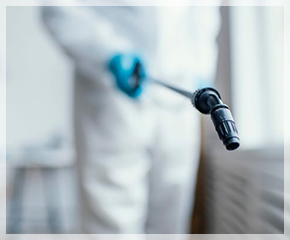 Инсект Контрол