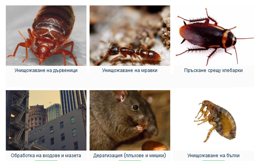 Инсект Контрол