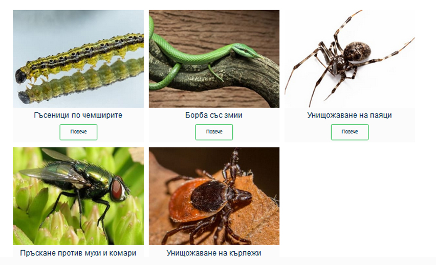 Инсект Контрол