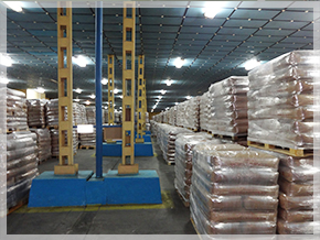 Солинекс АД