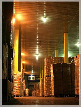 Солинекс АД