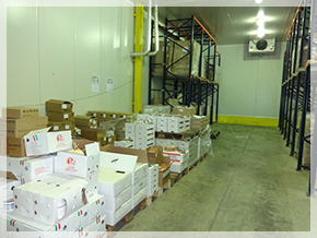 Солинекс АД